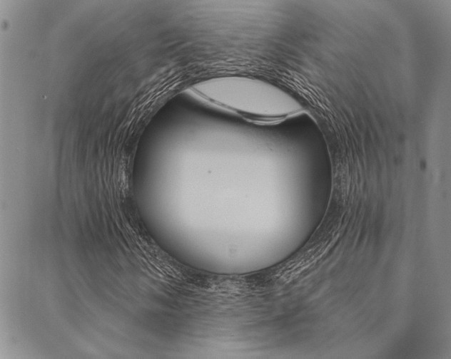 X0000089701058200706210845