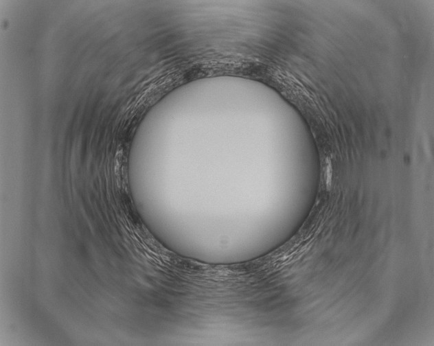 X0000089701059200706210845