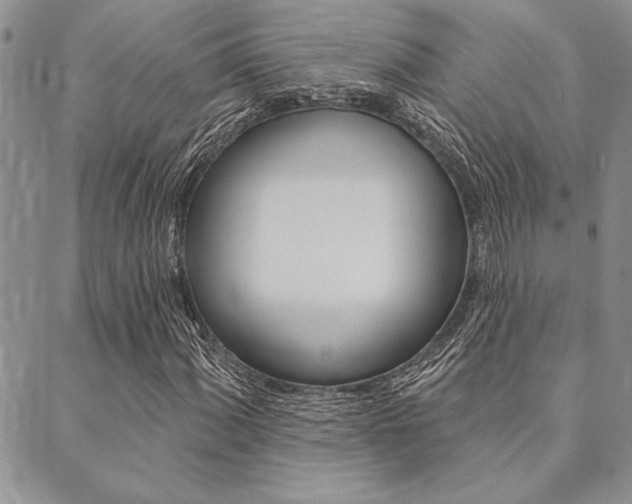 X0000089701060200706210845