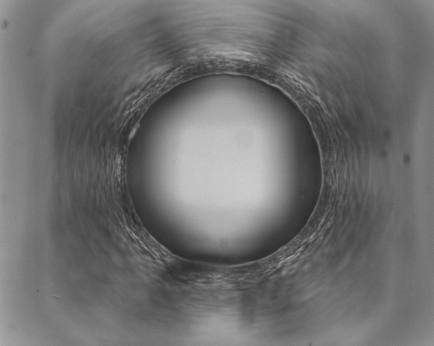 X0000089701061200706210845