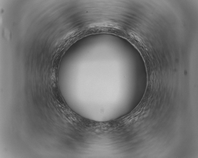 X0000089701062200706210845