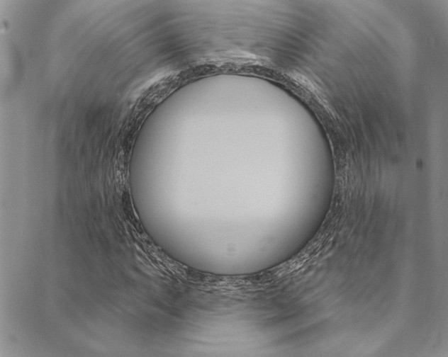 X0000089701063200706210845