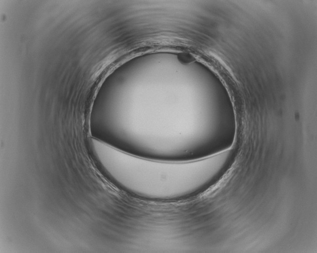 X0000089701065200706210845