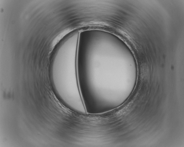 X0000089701066200706210845