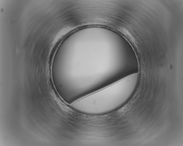 X0000089701072200706210845