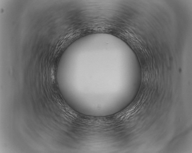 X0000089701106200706210843