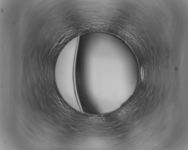 X0000089701107200706210843
