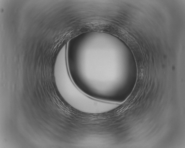 X0000089701108200706210843