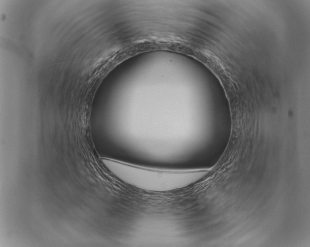 X0000089701110200706210844