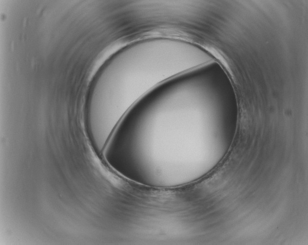 X0000089701131200706210844