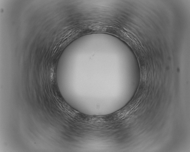 X0000089701154200706210843