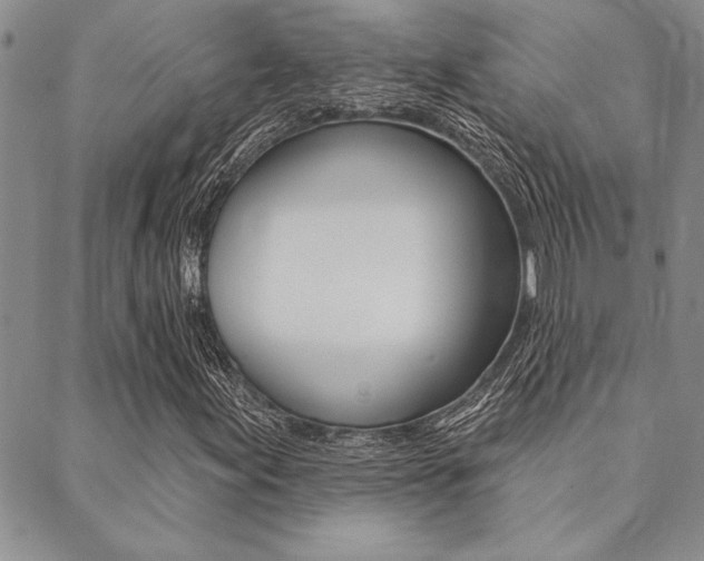 X0000089701155200706210843