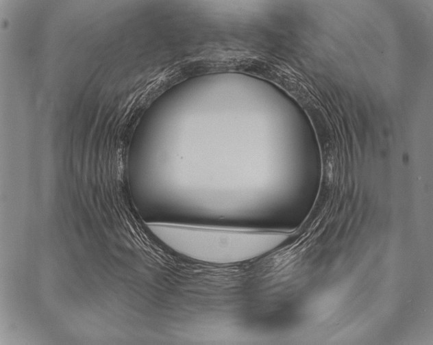 X0000089701204200706210842