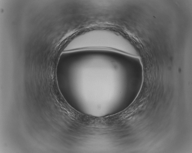 X0000089701206200706210842