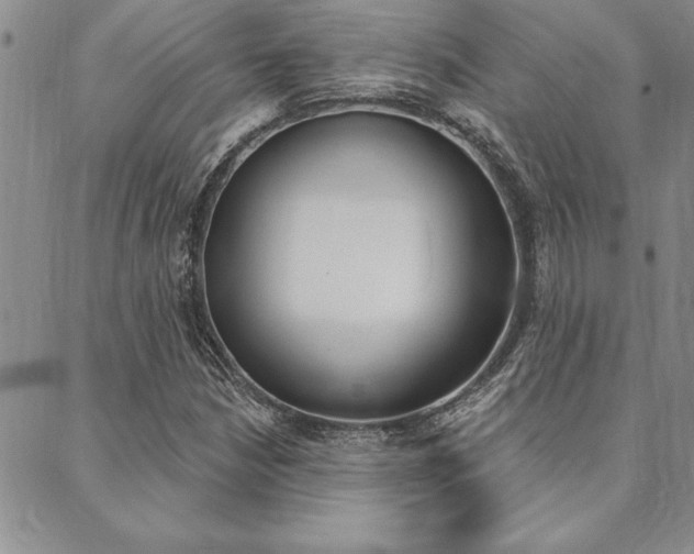 X0000089701210200706210842