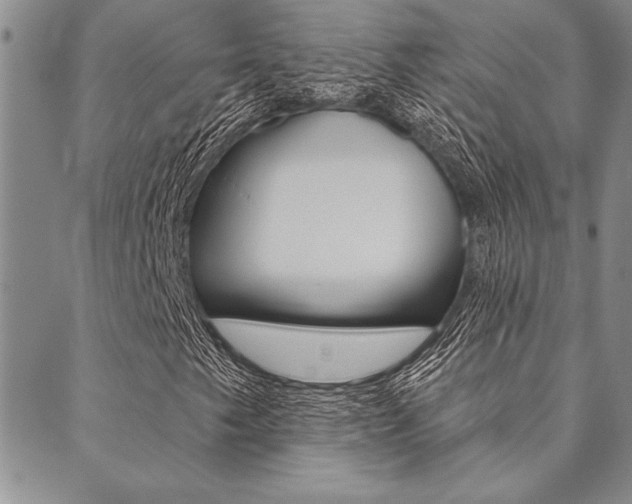X0000089701249200706210842
