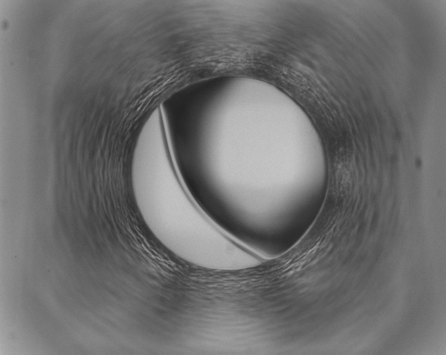 X0000089701250200706210842
