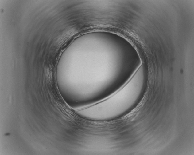 X0000089701257200706210842