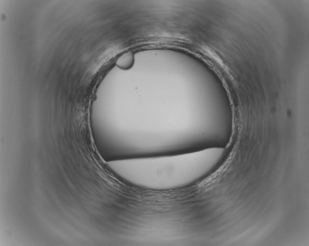 X0000089701259200706210842