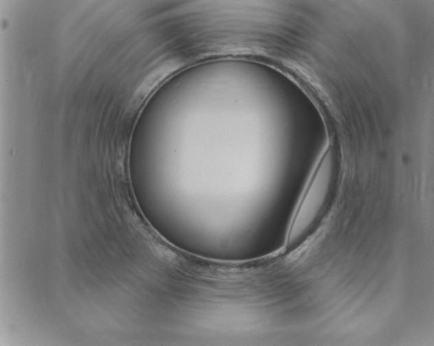 X0000089701273200706210841