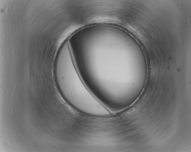 X0000089701277200706210841