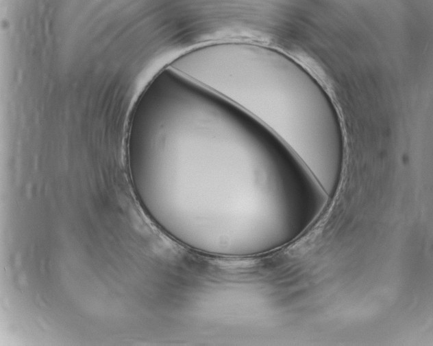 X0000089701296200706210841