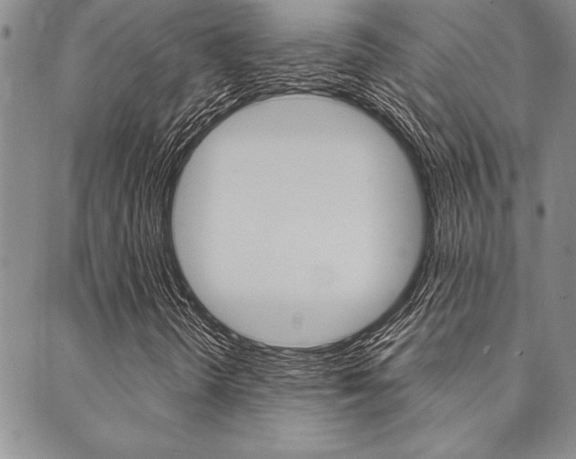 X0000089701298200706210840