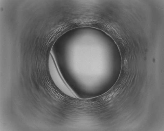 X0000089701300200706210840
