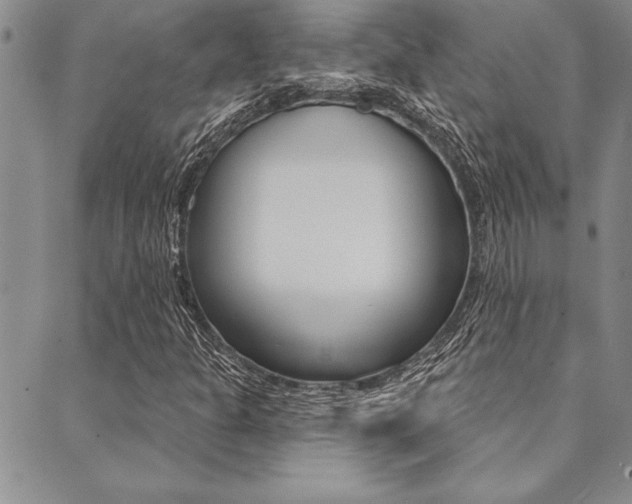 X0000089701301200706210840