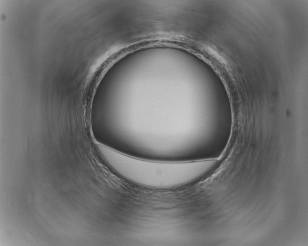X0000089701310200706210841
