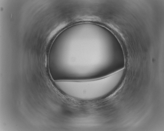 X0000089701317200706210841