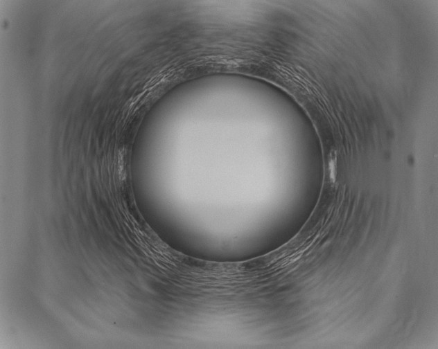 X0000089701347200706210840