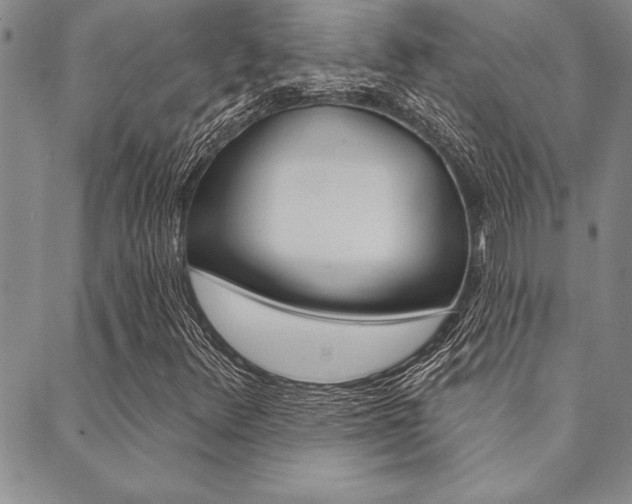 X0000089701348200706210840