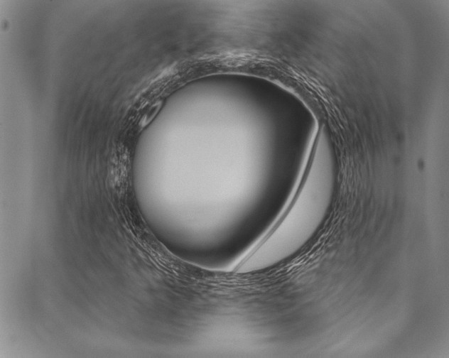 X0000089701349200706210840
