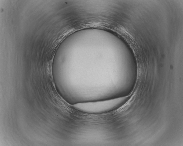 X0000089701353200706210840