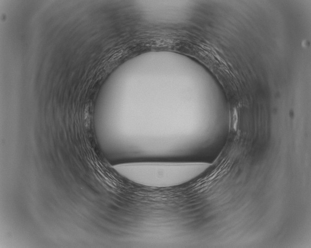 X0000089701395200706210839