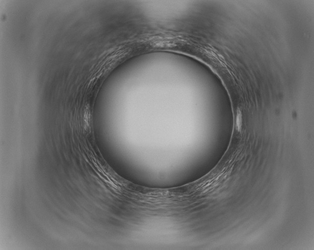 X0000089701444200706210839