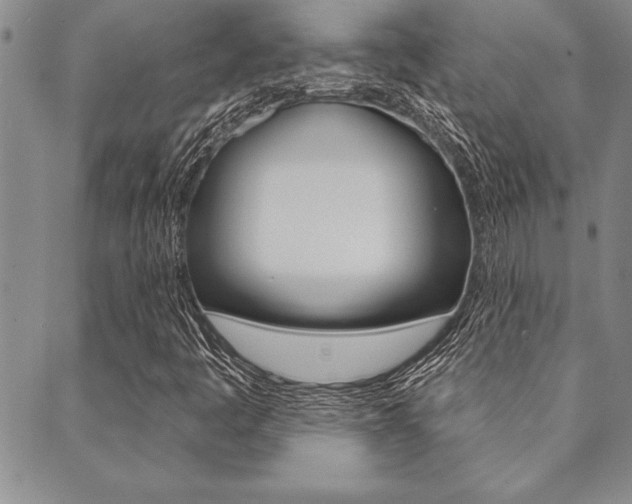 X0000089701445200706210839