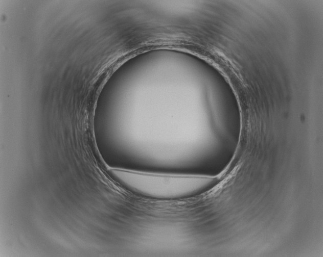 X0000089701449200706210839