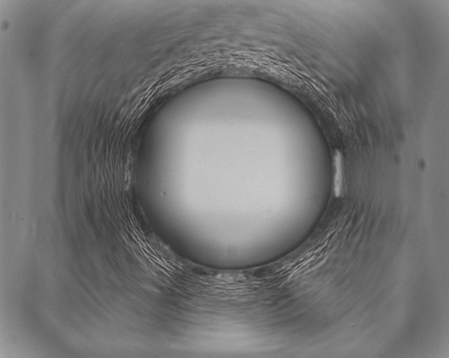 X0000089701491200706210837