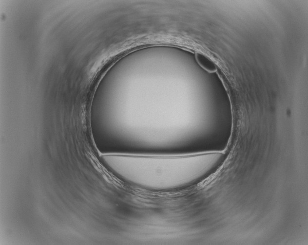 X0000089701499200706210837