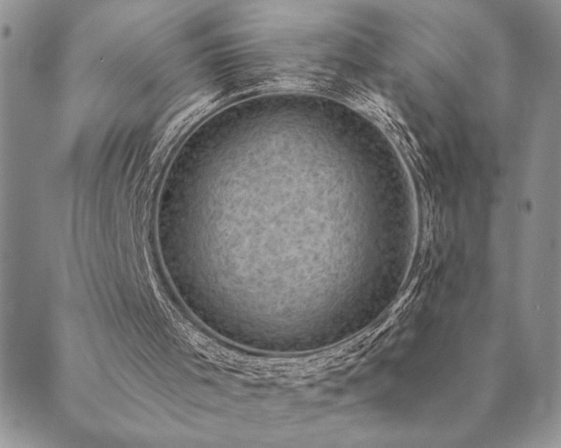 X0000089700001200706211330