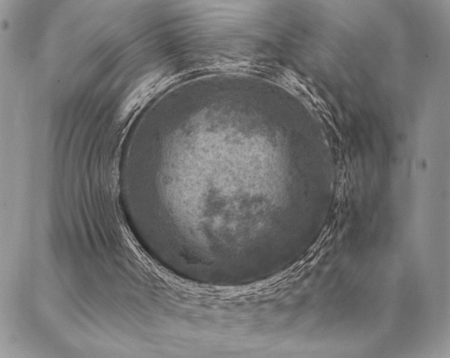 X0000089700002200706211330