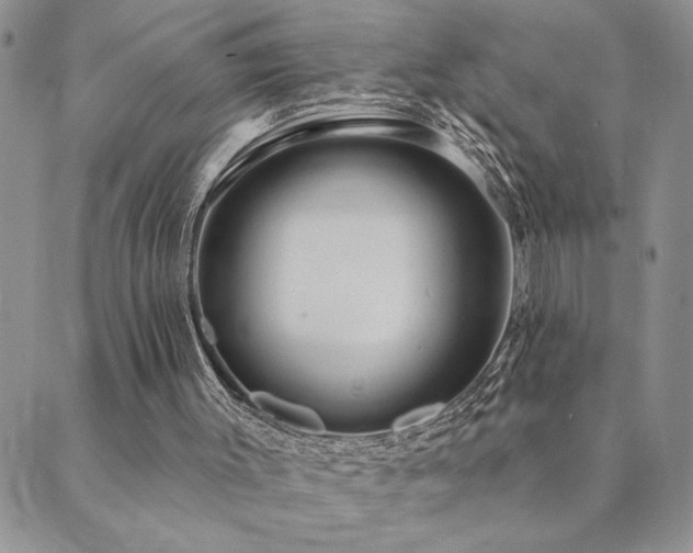 X0000089700003200706211330