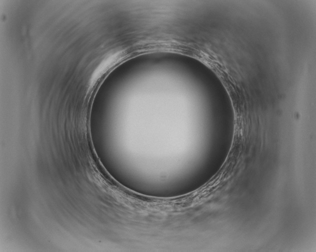 X0000089700004200706211330