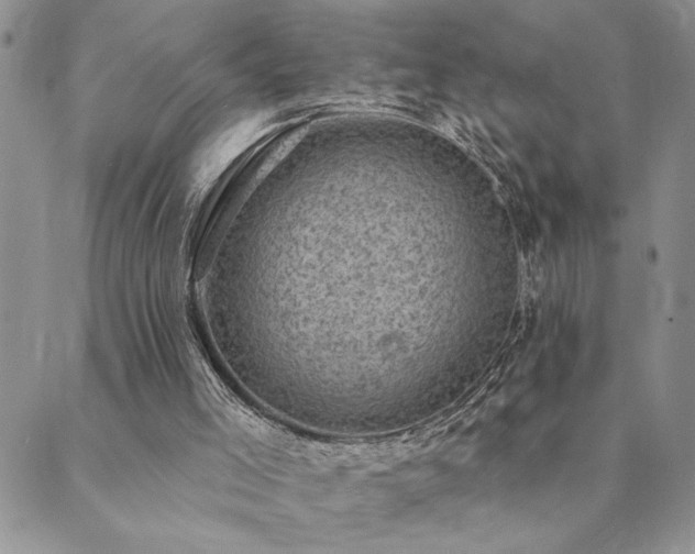 X0000089700005200706211330