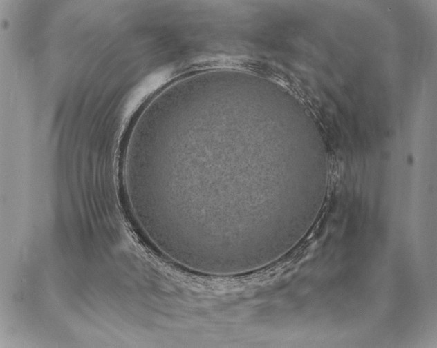 X0000089700006200706211330