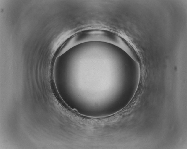 X0000089700007200706211330