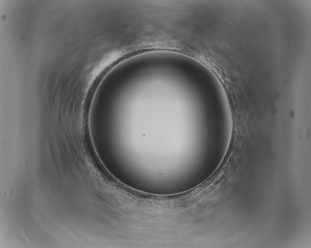 X0000089700008200706211330