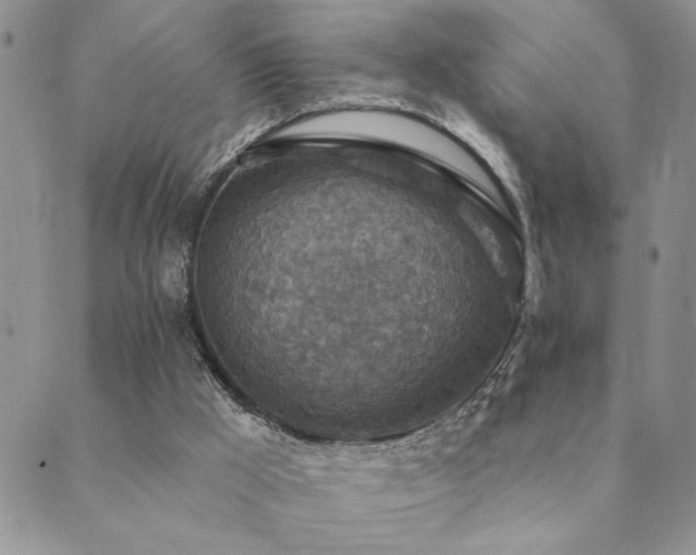 X0000089700009200706211330